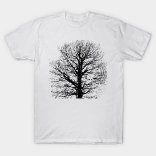 Black tree T-Shirt